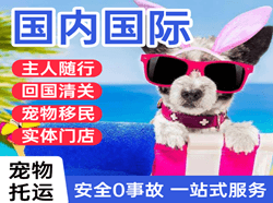 湿地空运地址国际宠物托运 【国